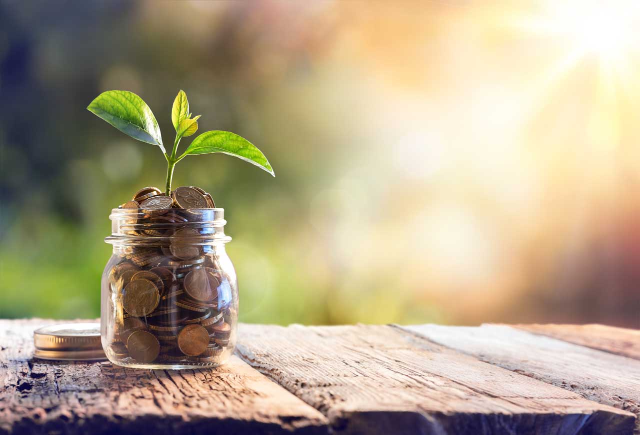 Coin jar with little green plant growing out